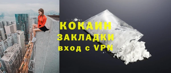 крисы Коряжма