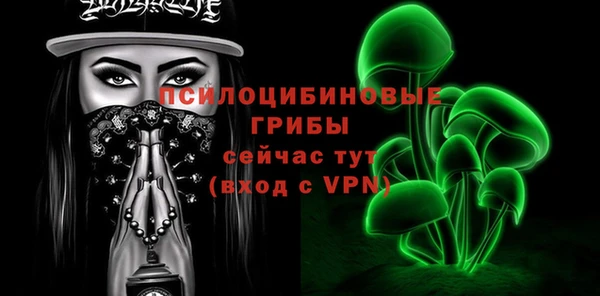 прущая мука Корсаков
