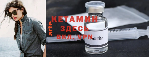 крисы Коряжма