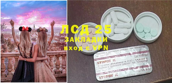 крисы Коряжма