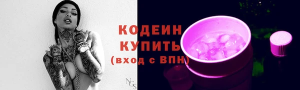 крисы Коряжма