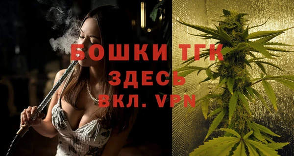 крисы Коряжма