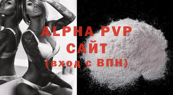 крисы Коряжма