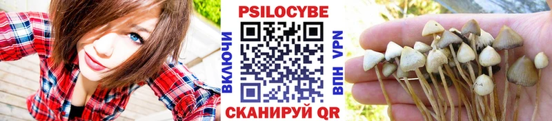 Псилоцибиновые грибы ЛСД  Купить  Остров 